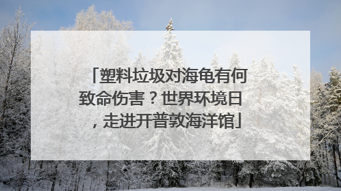 塑料垃圾对海龟有何致命伤害？世界环境日，走进开普敦海洋馆