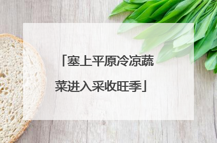塞上平原冷凉蔬菜进入采收旺季