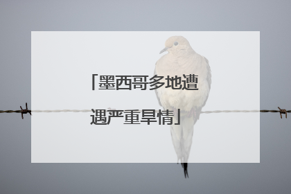 墨西哥多地遭遇严重旱情