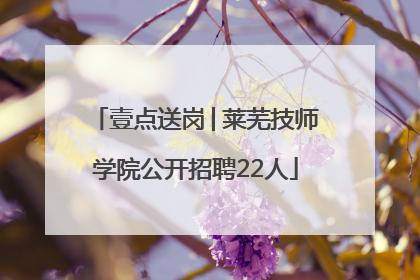 壹点送岗│莱芜技师学院公开招聘22人