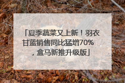 夏季蔬菜又上新！羽衣甘蓝销售同比猛增70%，盒马新推升级版
