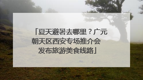 夏天避暑去哪里？广元朝天区西安专场推介会 发布旅游美食线路