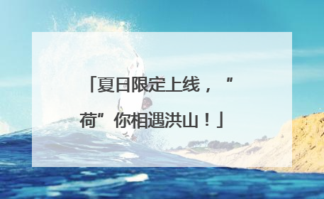 夏日限定上线，“荷”你相遇洪山！