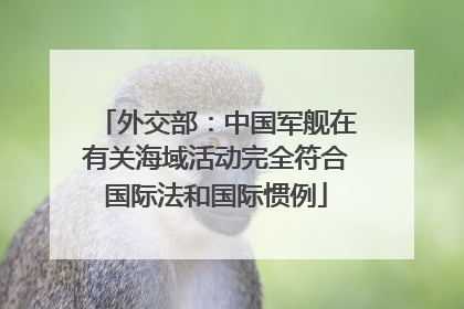 外交部：中国军舰在有关海域活动完全符合国际法和国际惯例