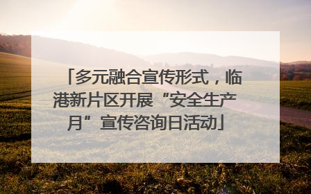 多元融合宣传形式，临港新片区开展“安全生产月”宣传咨询日活动