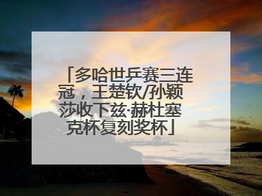 多哈世乒赛三连冠，王楚钦/孙颖莎收下兹·赫杜塞克杯复刻奖杯