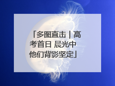 多图直击｜高考首日 晨光中他们背影坚定