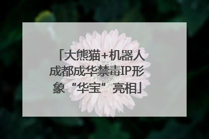 大熊猫+机器人 成都成华禁毒IP形象“华宝”亮相