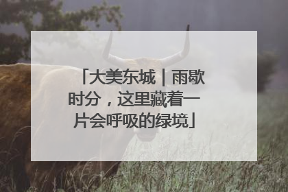 大美东城｜雨歇时分，这里藏着一片会呼吸的绿境