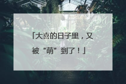 大喜的日子里，又被“萌”到了！