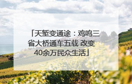 天堑变通途：鸡鸣三省大桥通车五载 改变40余万民众生活