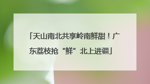 天山南北共享岭南鲜甜！广东荔枝抢“鲜”北上进疆