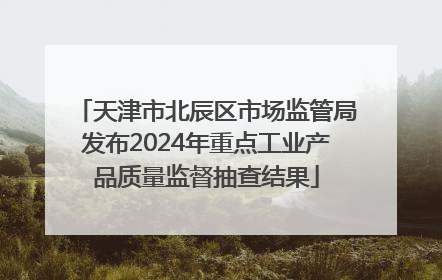 天津市北辰区市场监管局发布2024年重点工业产品质量监督抽查结果