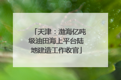 天津：渤海亿吨级油田海上平台陆地建造工作收官