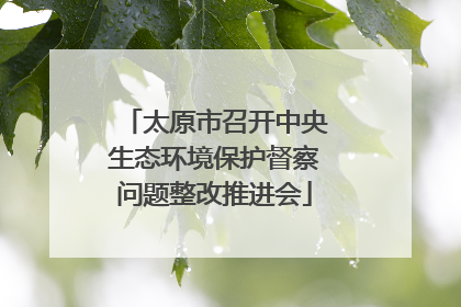 太原市召开中央生态环境保护督察问题整改推进会