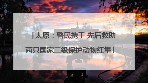 太原：警民携手 先后救助两只国家二级保护动物红隼