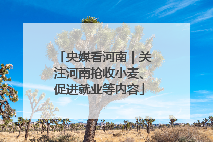 央媒看河南｜关注河南抢收小麦、促进就业等内容