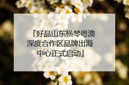 好品山东横琴粤澳深度合作区品牌出海中心正式启动