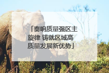 奏响质量强区主旋律 铸就区域高质量发展新优势