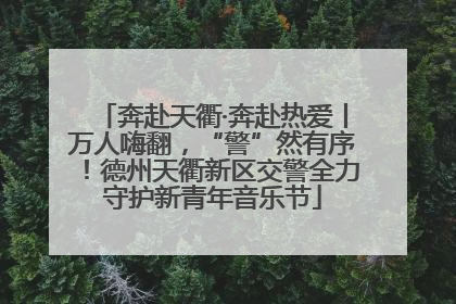 奔赴天衢·奔赴热爱丨万人嗨翻，“警”然有序！德州天衢新区交警全力守护新青年音乐节