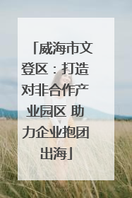 威海市文登区：打造对非合作产业园区 助力企业抱团出海