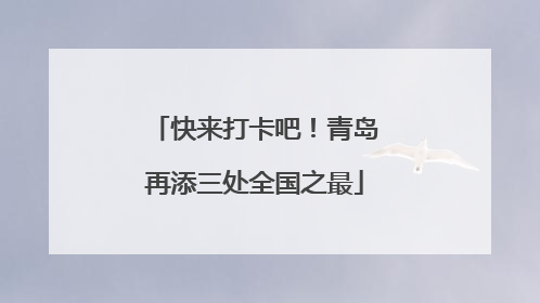 快来打卡吧！青岛再添三处全国之最