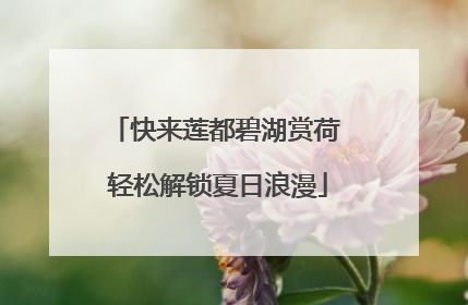 快来莲都碧湖赏荷 轻松解锁夏日浪漫