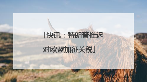 快讯：特朗普推迟对欧盟加征关税