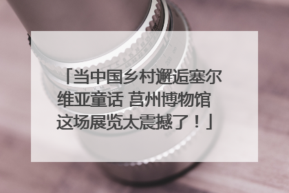 当中国乡村邂逅塞尔维亚童话 莒州博物馆这场展览太震撼了！