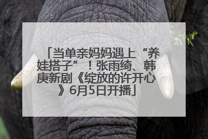 当单亲妈妈遇上“养娃搭子”！张雨绮、韩庚新剧《绽放的许开心》6月5日开播