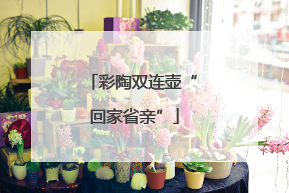 彩陶双连壶“回家省亲”