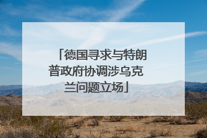 德国寻求与特朗普政府协调涉乌克兰问题立场
