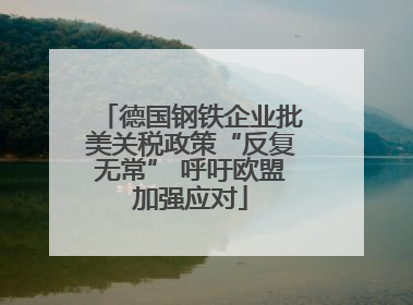 德国钢铁企业批美关税政策“反复无常” 呼吁欧盟加强应对