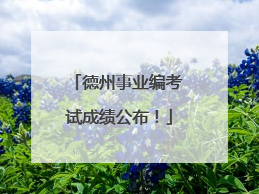 德州事业编考试成绩公布！