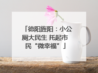 德阳旌阳：小公厕大民生 托起市民“微幸福”