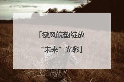 徽风皖韵绽放“未来”光彩