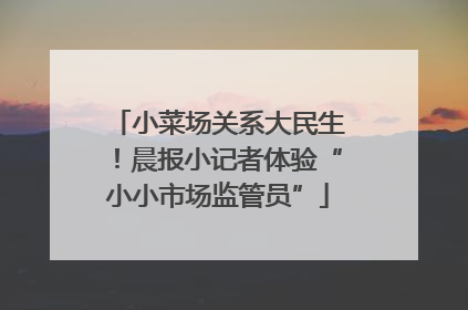 小菜场关系大民生！晨报小记者体验“小小市场监管员”