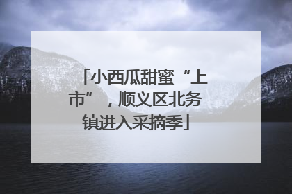 小西瓜甜蜜“上市”，顺义区北务镇进入采摘季