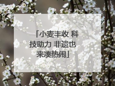 小麦丰收 科技助力 非遗也来凑热闹