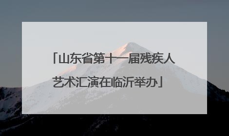 山东省第十一届残疾人艺术汇演在临沂举办