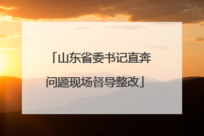 山东省委书记直奔问题现场督导整改