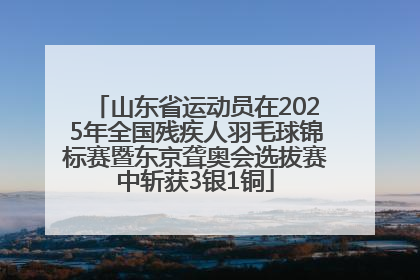 山东省运动员在2025年全国残疾人羽毛球锦标赛暨东京聋奥会选拔赛中斩获3银1铜