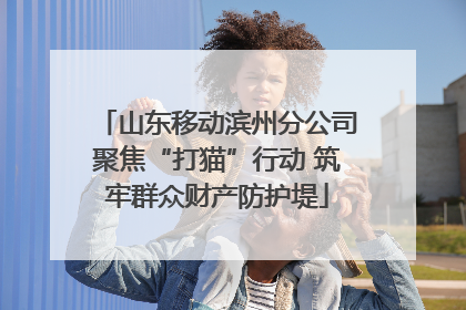 山东移动滨州分公司聚焦“打猫”行动 筑牢群众财产防护堤