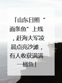 山东日照“面条鱼”上线，赶海大军凌晨点亮沙滩，有人收获满满一桶鱼
