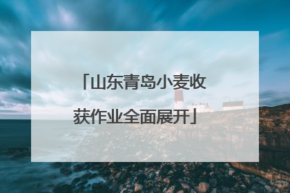 山东青岛小麦收获作业全面展开