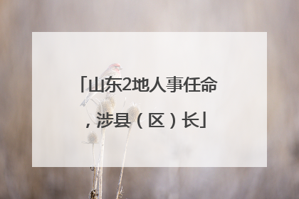 山东2地人事任命，涉县（区）长