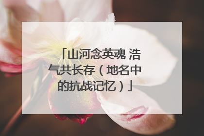 山河念英魂 浩气共长存（地名中的抗战记忆）