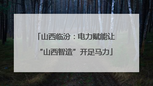 山西临汾：电力赋能让“山西智造”开足马力