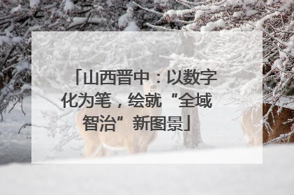 山西晋中：以数字化为笔，绘就“全域智治”新图景