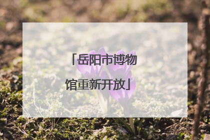 岳阳市博物馆重新开放